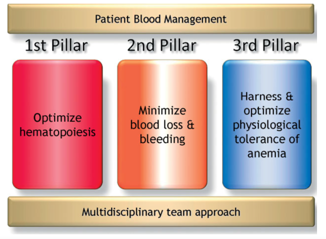 patient-blood-management