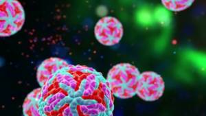 966182724-arbovirus-zika-flavivirus-teratogenic