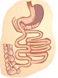 Cruce duodenal