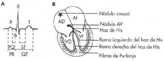 Electrocardiograma