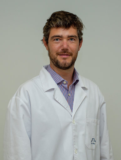 guillermo cortés