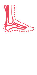 lesiones tendon teknon