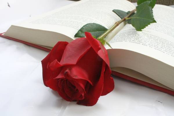 SantJordi1