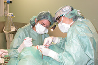 Rinoplastia1