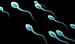 Espermatozoides sobre un fondo negro