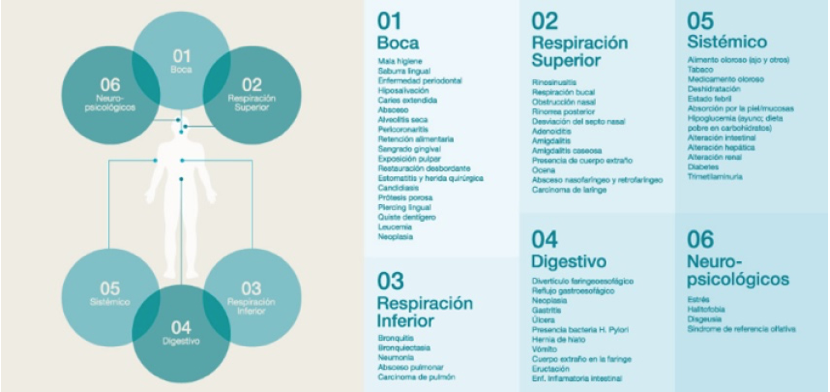 Infografía causas de la halitosis
