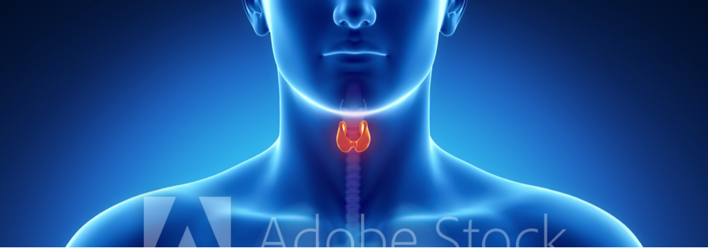 Cáncer de Tiroides