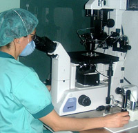 laboratorio2
