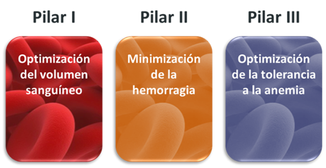 Programa PBM Teknon