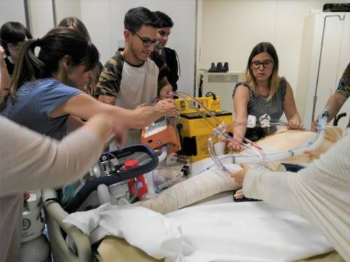 ecmo7_redok