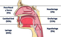 Incidencia cancer de cabeza y cuello