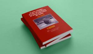 el-nino-roncador-libro
