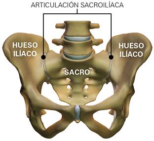 Sacroileitis - Causas y tratamientos | Centro Médico Teknon