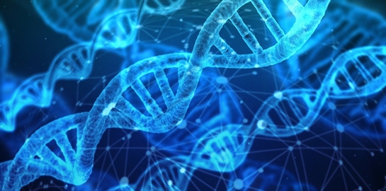 genetica2