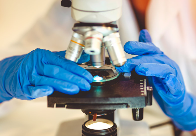 Biopsia testicular
