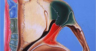 Oftalmopatía tiroidea